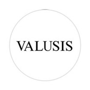 Valusis logo